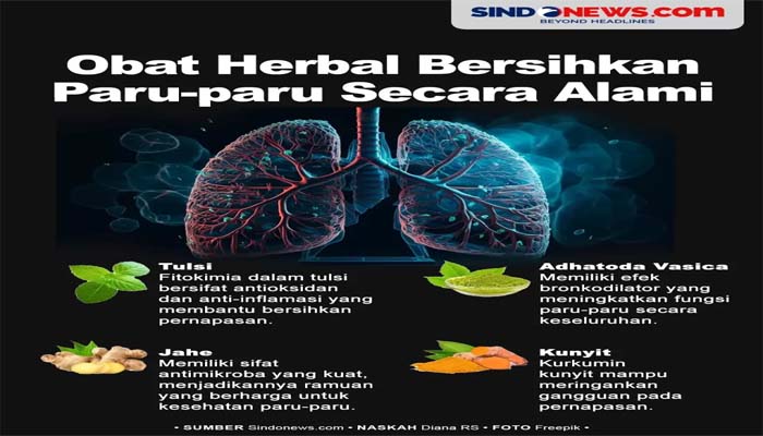 6 Obat Herbal yang Membersihkan Paru-paru secara Alami